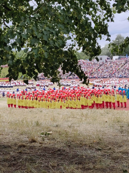 IMG_20190704_162204.jpg