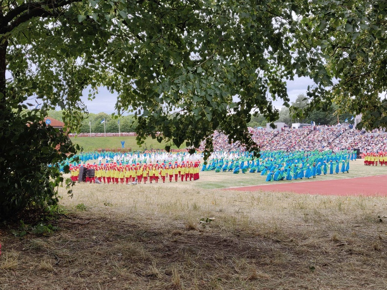 IMG_20190704_162450.jpg