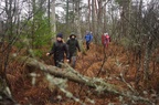  Loodushoiu- ja matkaringi matk Rabivere maastikukaitsealal 1. veebruaril