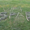 Raul 6c