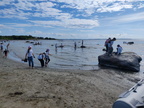 IMG 20240615 173235