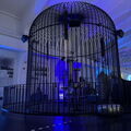 IMG 8082
