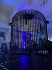 IMG 8082