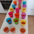 IMG-20260413-WA0002