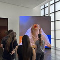 IMG 6947