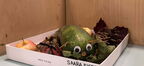 IMG 0486vv