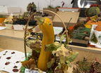 IMG 0485vv
