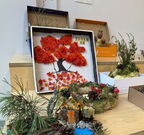 IMG 0488vv