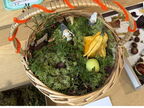 IMG 0493vv