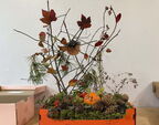 IMG 0492vv