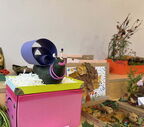 IMG 0490vv